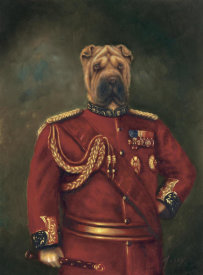 Massy - Major-General Woof