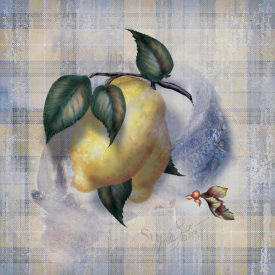Alma Lee - Tartan Fruit-Lemon