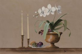 Wilbur - White Orchid Still Life
