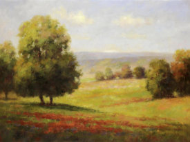 Paulsen - Red Meadow II