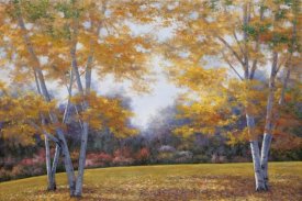 Diane Romanello - Autumn Birch