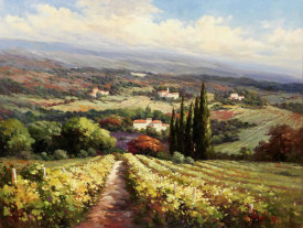 Andino - Italian Vineyards
