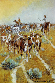 Olaf C. Seltzer - Texas Longhorns