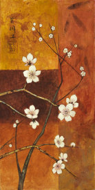Clunia - Cerezos en Flor V