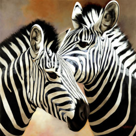 Arcobaleno - Zebra Pair