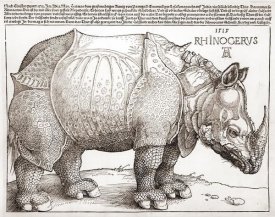 Albrecht Durer - The Rhinoceros