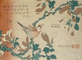 Hokusai - A Paddy Bird Perched On a Flowering Magnolia Branch