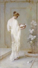 Henry Thomas Schafer - Divinely Fair