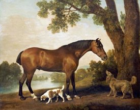 George Stubbs - A Bay Hunter, a Springer Spaniel and a Sussex Spaniel, 1782