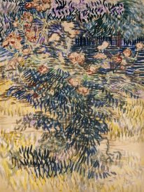 Vincent Van Gogh - The Rose Bay, Saint-Remy