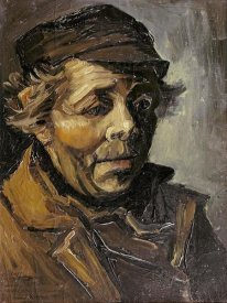 Vincent Van Gogh - A Peasants Head