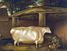 Thomas Weaver - The White Heifer That Travelled