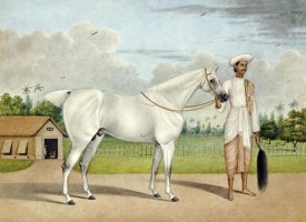 Shaikh Muhammad Amir - A Small White Stallion