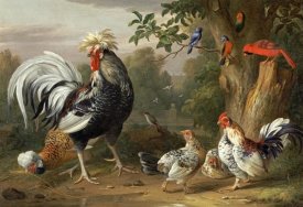 Jacob Bogdany - Poultry and Other Birds In The Garden of a Mansion