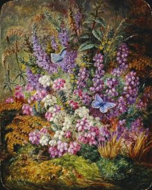 Albert Durer Lucas - Blue Butterflies and Wildflowers