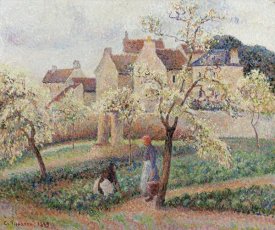 Camille Pissarro - Plum Trees In Blossom