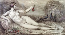 Armand Point - Juno