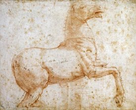 Raphael - Study of One of The Quirinal Marble Horses