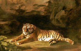 George Stubbs - Portrait of The Royal Tiger