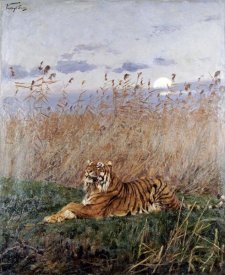 Geza Vastagh - Tiger In The Rushes
