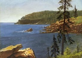 Albert Bierstadt - California Coast