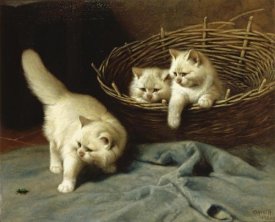 Arthur Heyer - White Angora Kittens With a Beetle