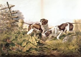 Currier and Ives - American Field Sports. 