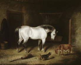 John Frederick Herring - White Horse