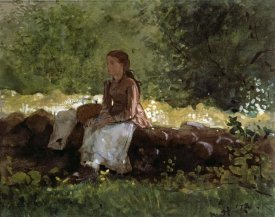 Winslow Homer - On The Fence