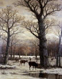 Unknown - Deer Foraging, Winter