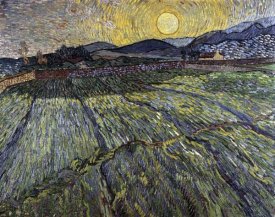 Vincent Van Gogh - Enclosed Field with Rising Sun, Saint-Remy