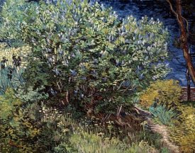 Vincent Van Gogh - Lilacs