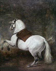 Diego Velazquez - A White Horse
