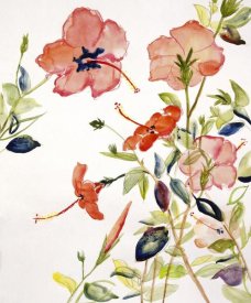 Sir Roy Calne - Hibiscus Flowerpiece