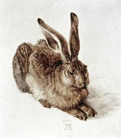 Albrecht Durer - The Young Hare