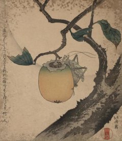 Hokusai - Grasshopper eating persimmon, 1850