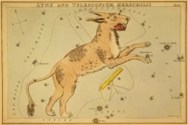 Jehoshaphat Aspin - Lynx and Telescopium Herschilii, 1825