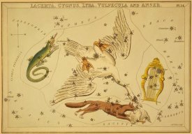 Jehoshaphat Aspin - Lacerta, Cygnus, Lyra, Vulpecula and Anser, 1825