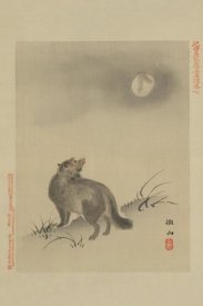 Unknown - Fox
