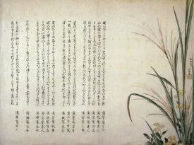 Hokusai - Asters And Susuki Grass 1805