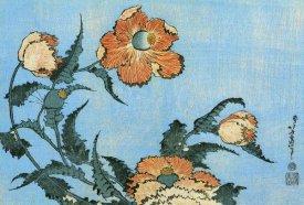 Hokusai - Poppies
