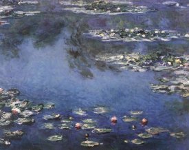 Claude Monet - Waterlilies 3