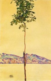 Egon Schiele - Little Tree 1912