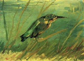 Vincent Van Gogh - Kingfisher