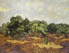 Vincent Van Gogh - Olive Grove Pale Blue Sky
