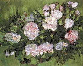 Vincent Van Gogh - Pink Roses