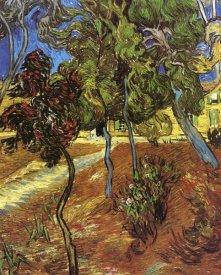 Vincent Van Gogh - Tree In Garden St Paul Hospital