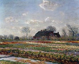 Vincent Van Gogh - Tulip Field Sassenheim