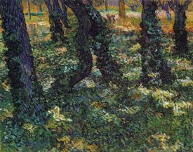 Vincent Van Gogh - Undergrowth 2