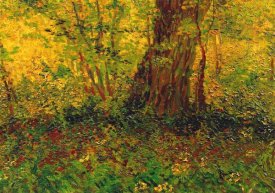 Vincent Van Gogh - Undergrowth 3